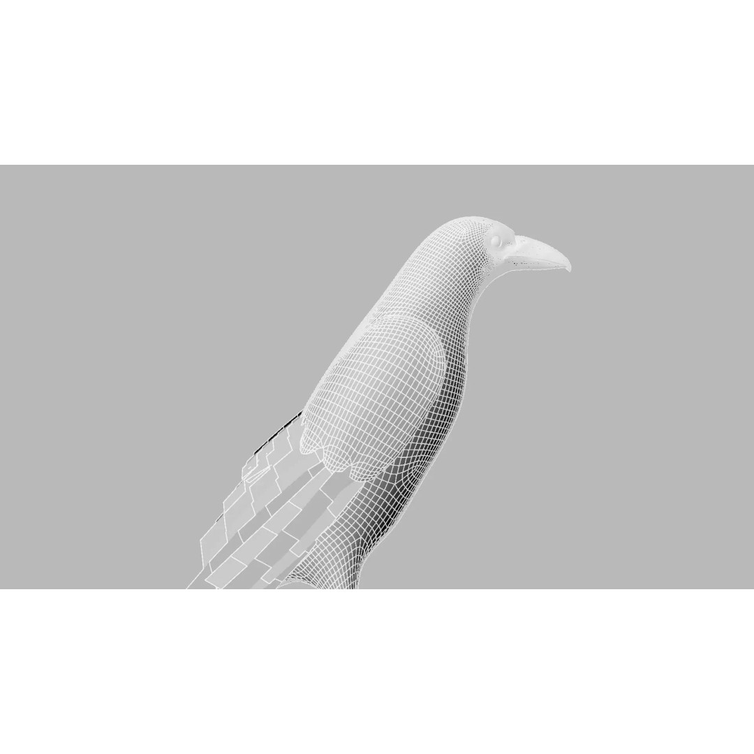 Brown Kokila 3D Model – Realistic Bird Asset with PBR Textures - View 25