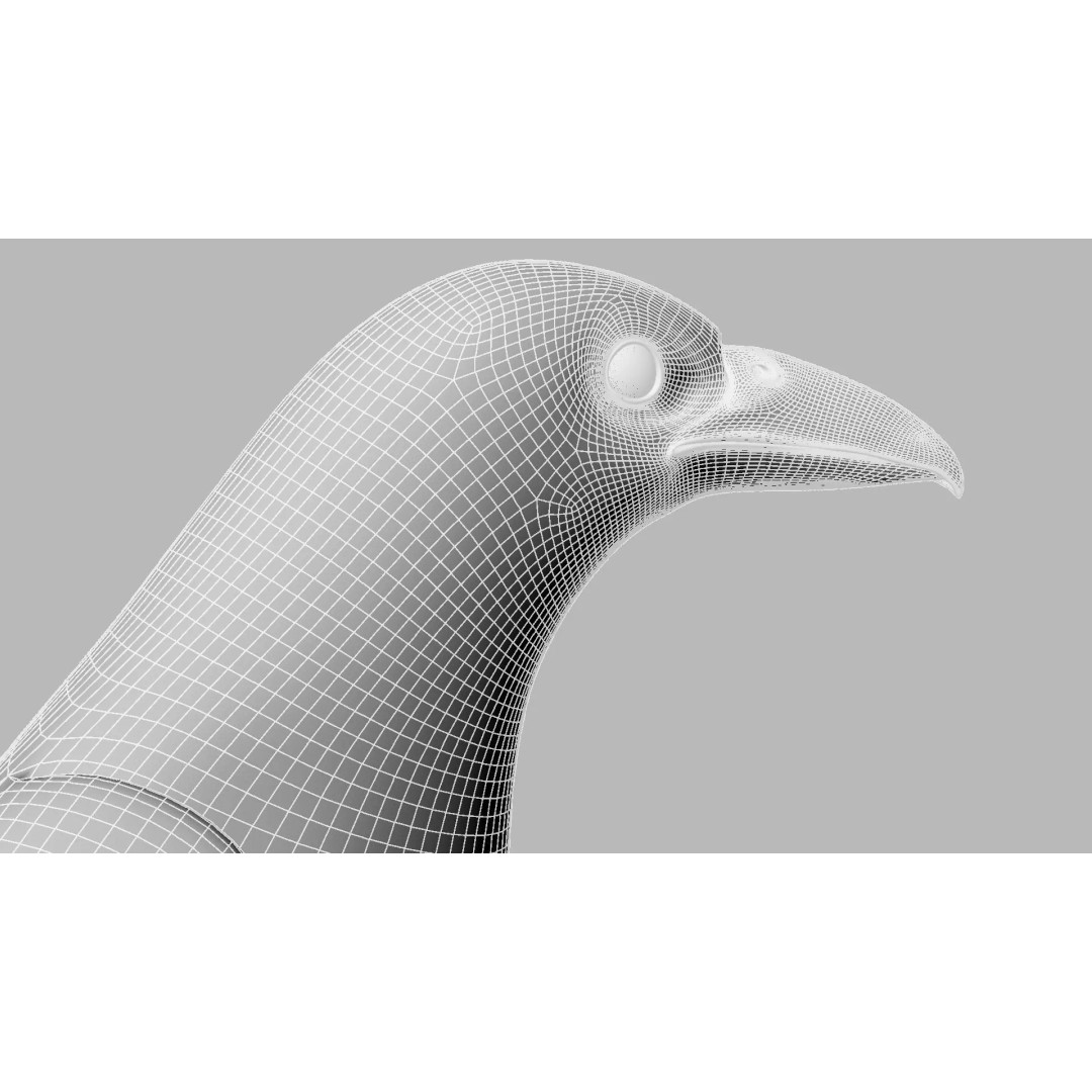 Brown Kokila 3D Model – Realistic Bird Asset with PBR Textures - View 26
