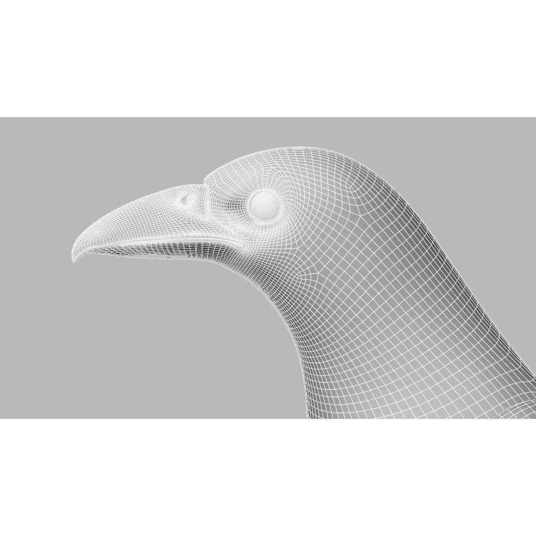Brown Kokila 3D Model – Realistic Bird Asset with PBR Textures - View 27