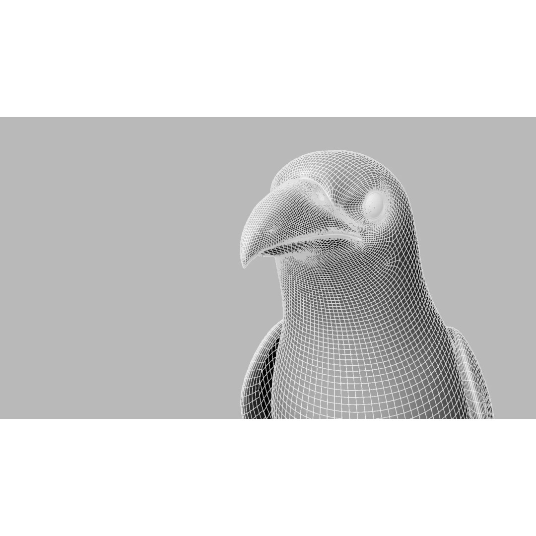 Brown Kokila 3D Model – Realistic Bird Asset with PBR Textures - View 28