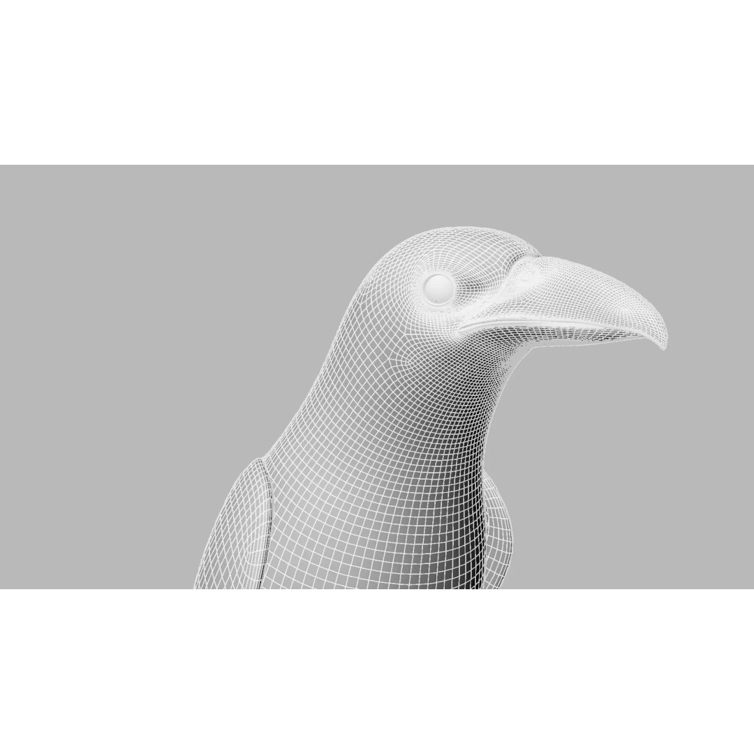 Brown Kokila 3D Model – Realistic Bird Asset with PBR Textures - View 29
