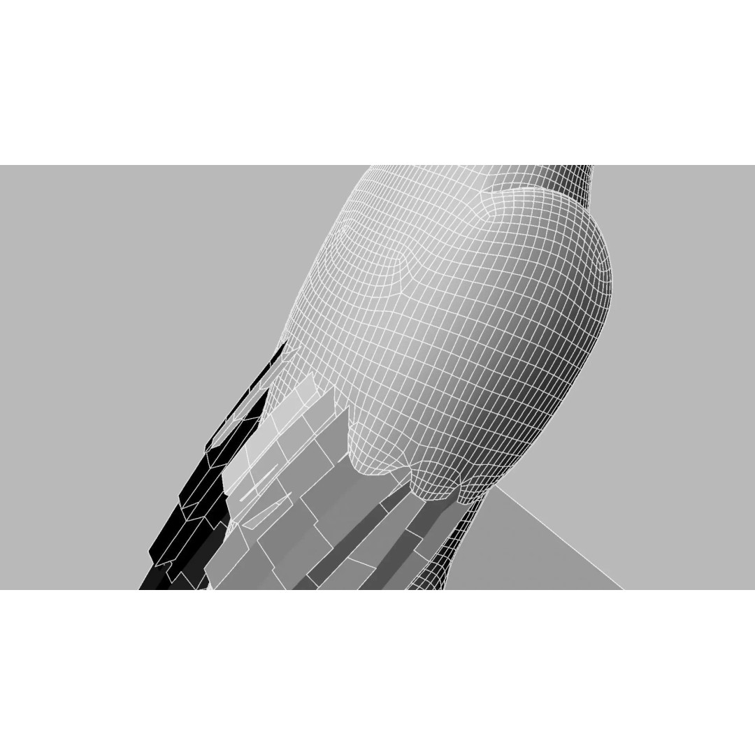 Brown Kokila 3D Model – Realistic Bird Asset with PBR Textures - View 36