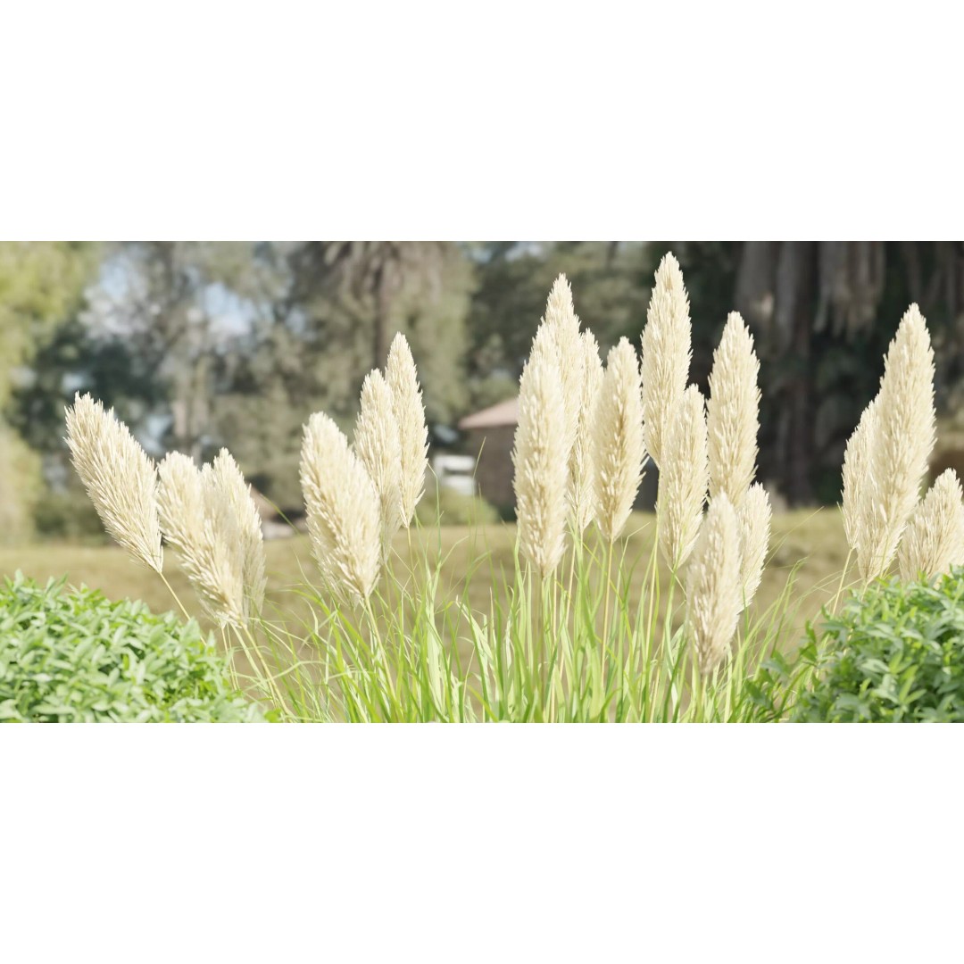 Garden Plants 3D Model – High Poly Collection, Blender, FBX, OBJ - View 3