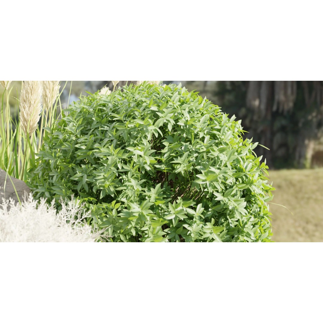 Garden Plants 3D Model – High Poly Collection, Blender, FBX, OBJ - View 4