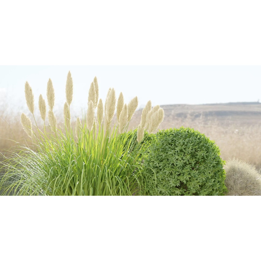 Garden Plants 3D Model – High Poly Collection, Blender, FBX, OBJ - View 7