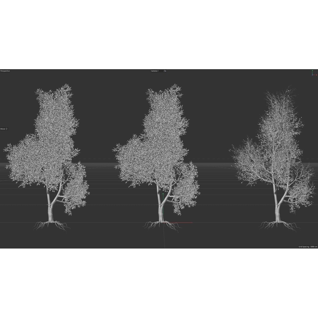 Maple Tree 3D Model – High Quality Seasonal Variants, FBX - View 5