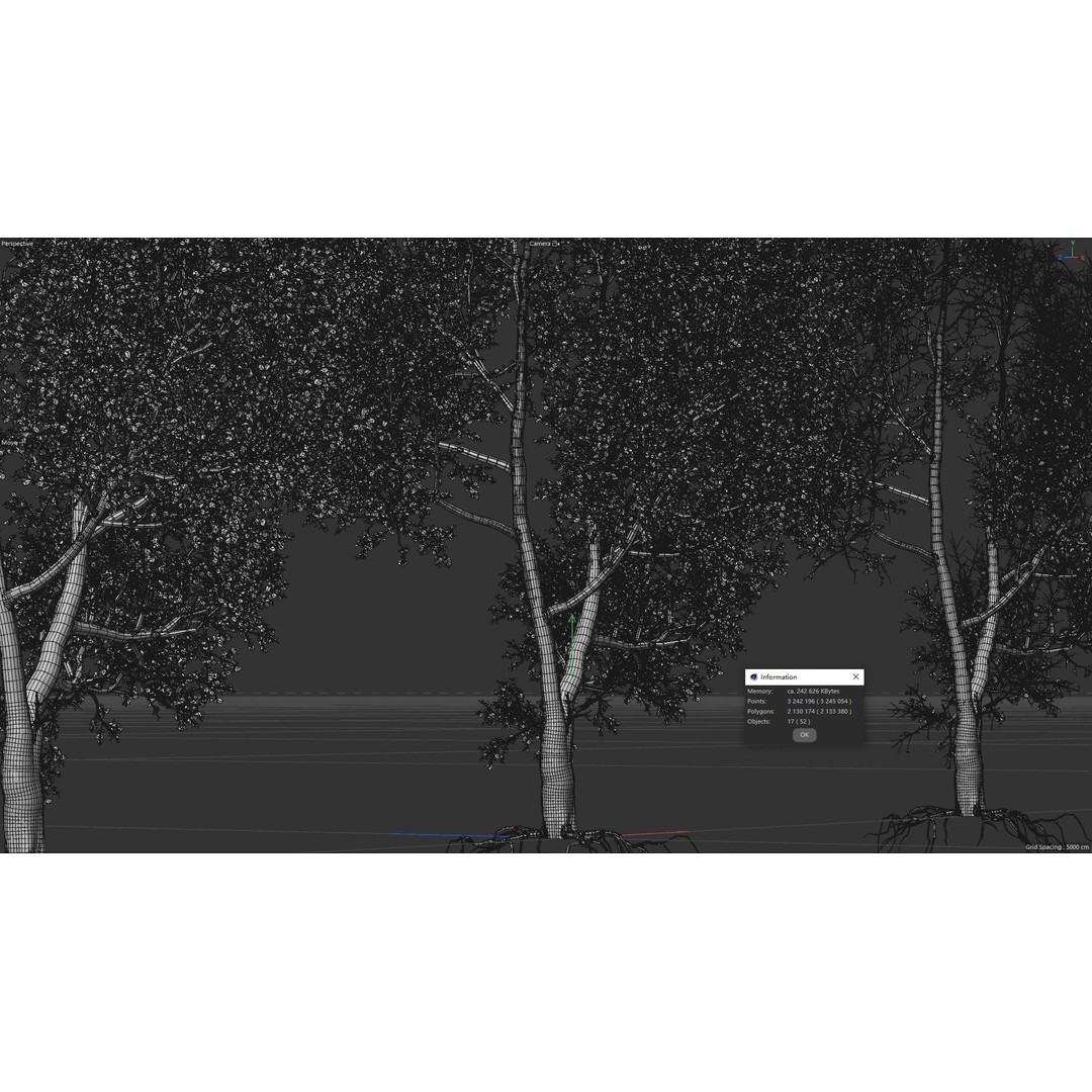 Maple Tree 3D Model – High Quality Seasonal Variants, FBX - View 6