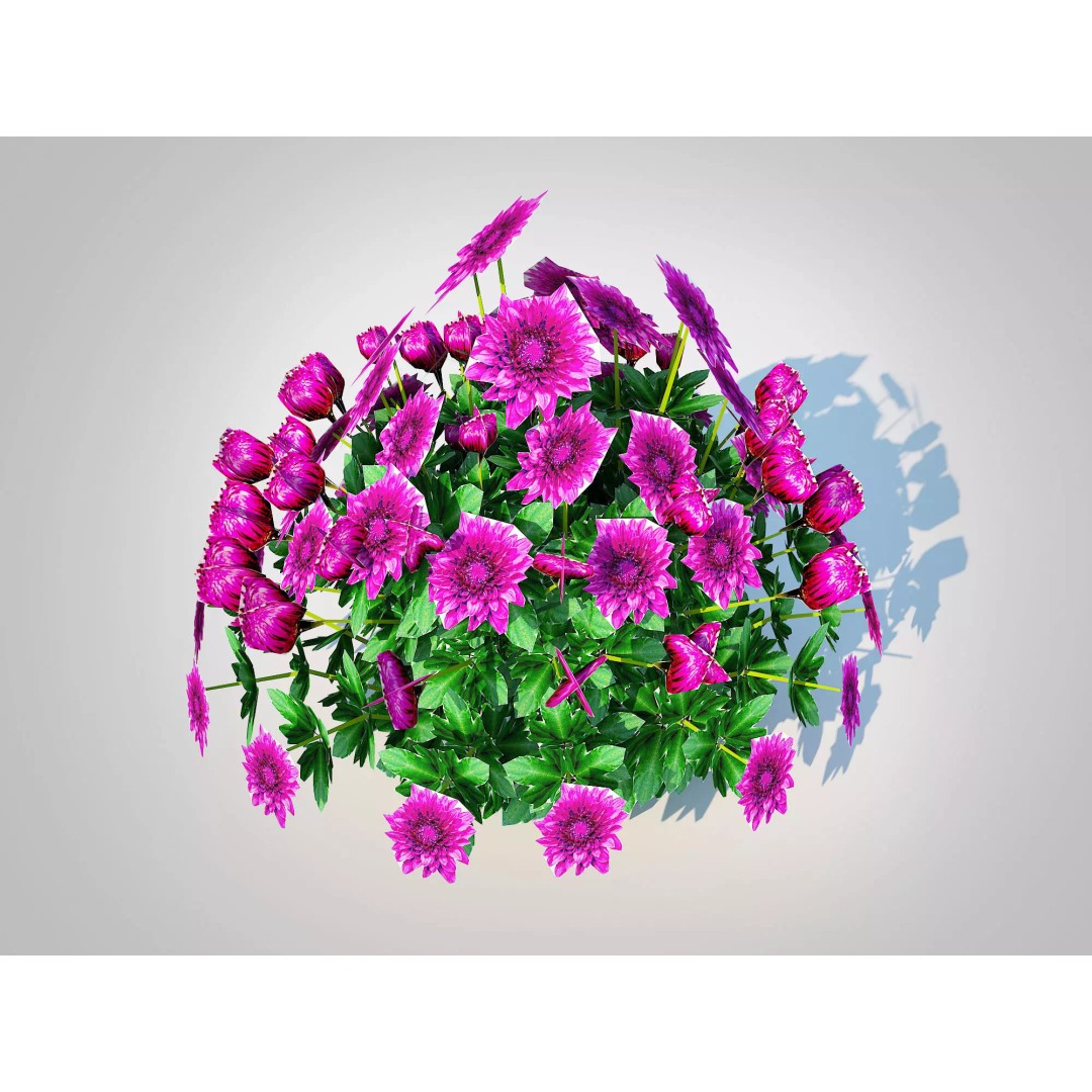 Chrysanthemum 3D Model – Hardy Mum Purple, Game Ready, FBX - View 2