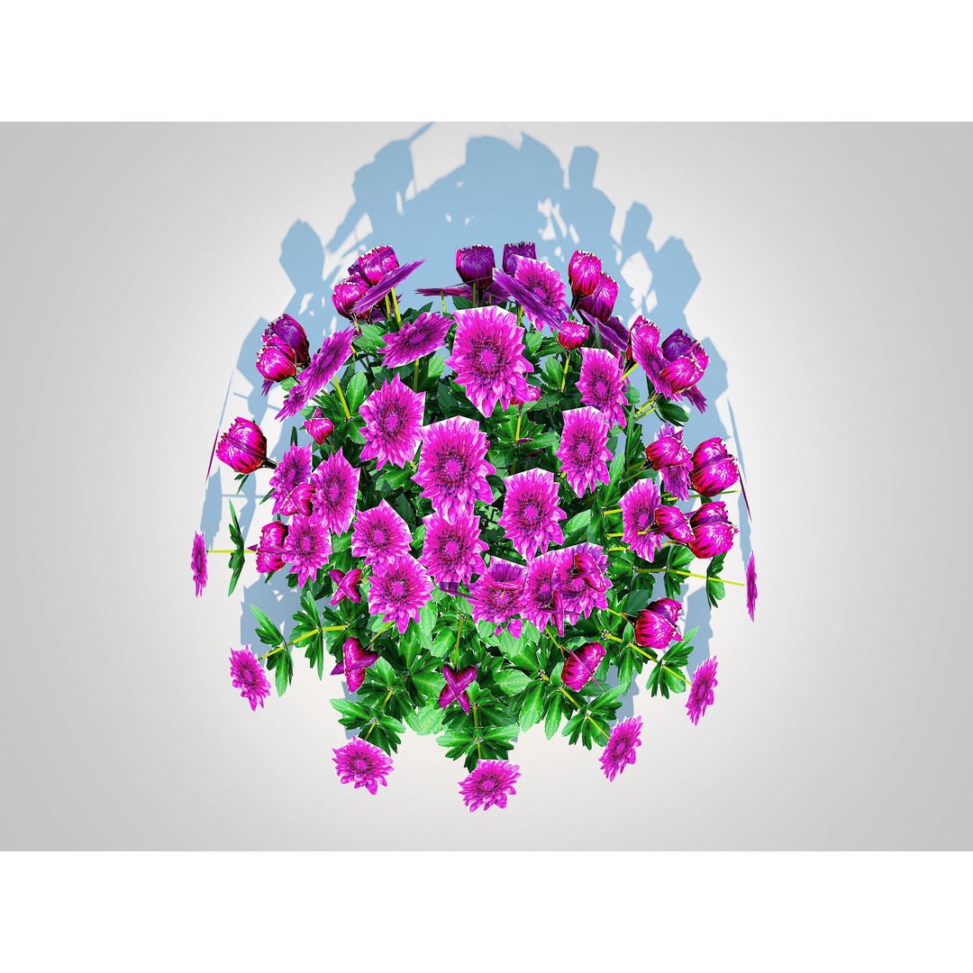 Chrysanthemum 3D Model – Hardy Mum Purple, Game Ready, FBX - View 6