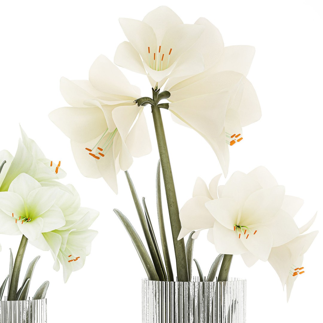 Hippeastrum Bouquet 3D Model – Modern White Floral Arrangement, FBX - View 10