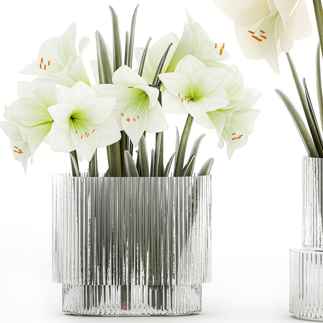 Hippeastrum Bouquet 3D Model – Modern White Floral Arrangement, FBX - View 11
