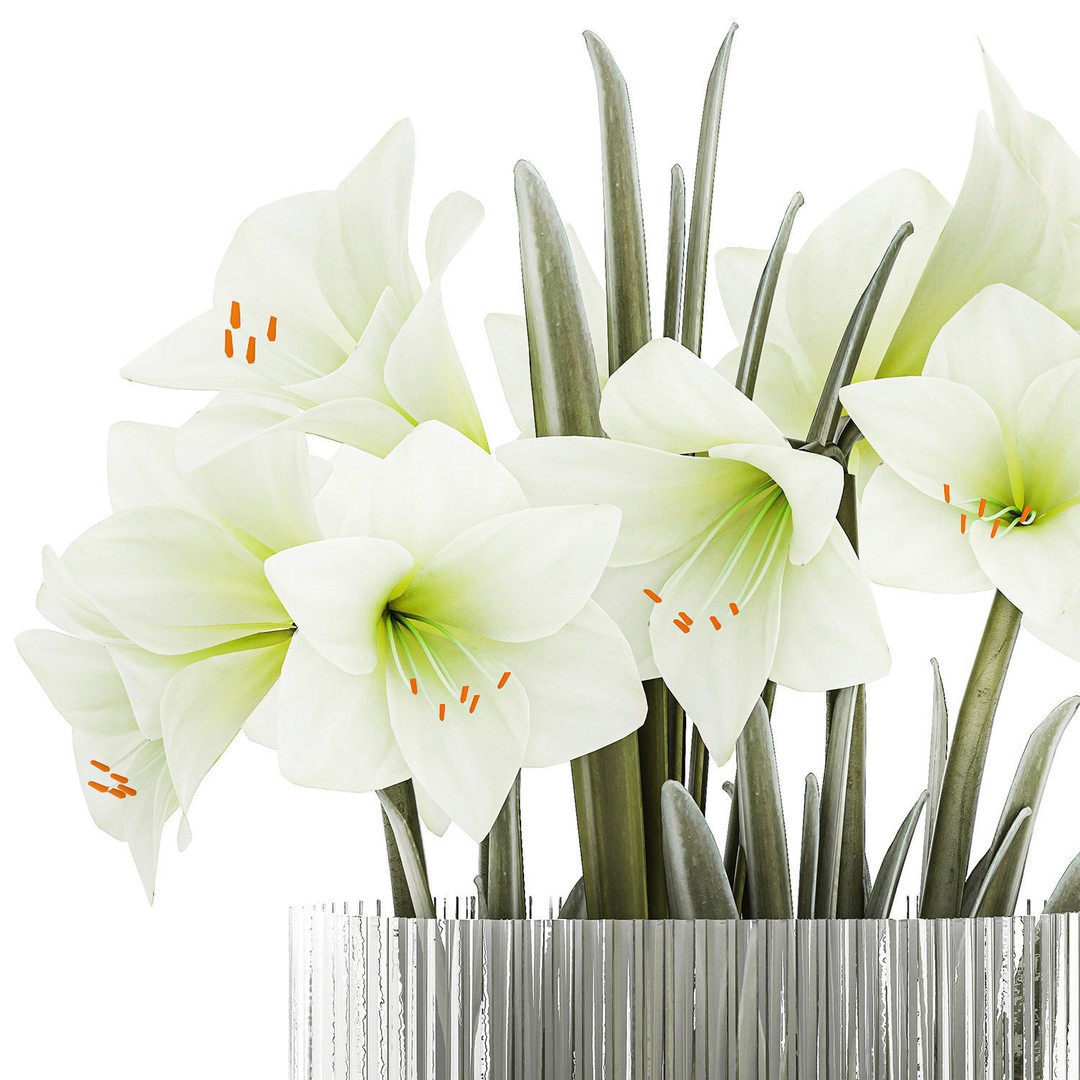 Hippeastrum Bouquet 3D Model – Modern White Floral Arrangement, FBX - View 12