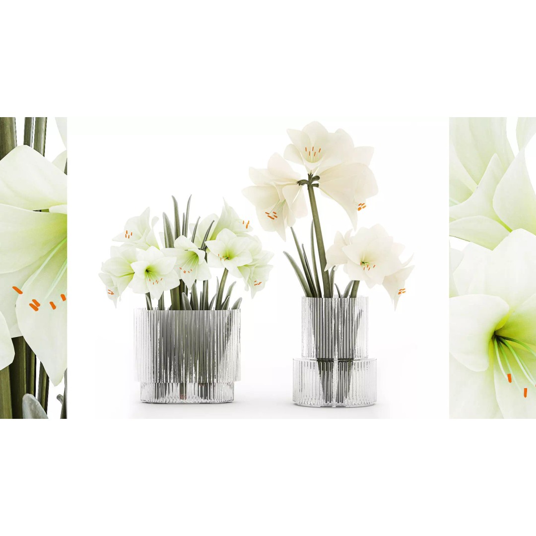 Hippeastrum Bouquet 3D Model – Modern White Floral Arrangement, FBX - View 2