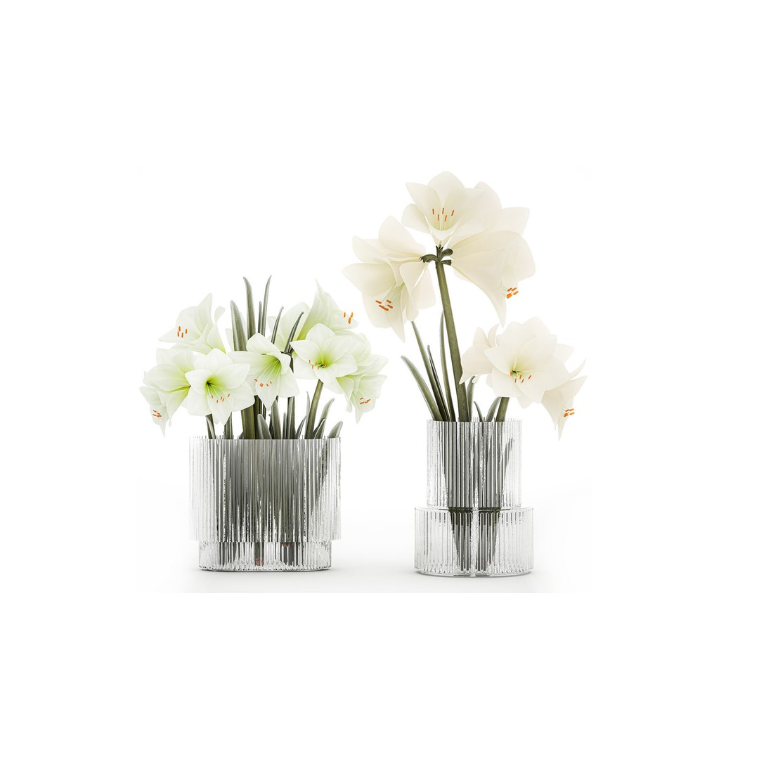 Hippeastrum Bouquet 3D Model – Modern White Floral Arrangement, FBX - View 3