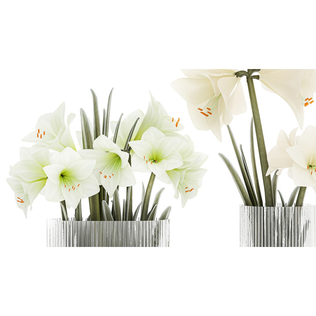Hippeastrum Bouquet 3D Model – Modern White Floral Arrangement, FBX - View 5