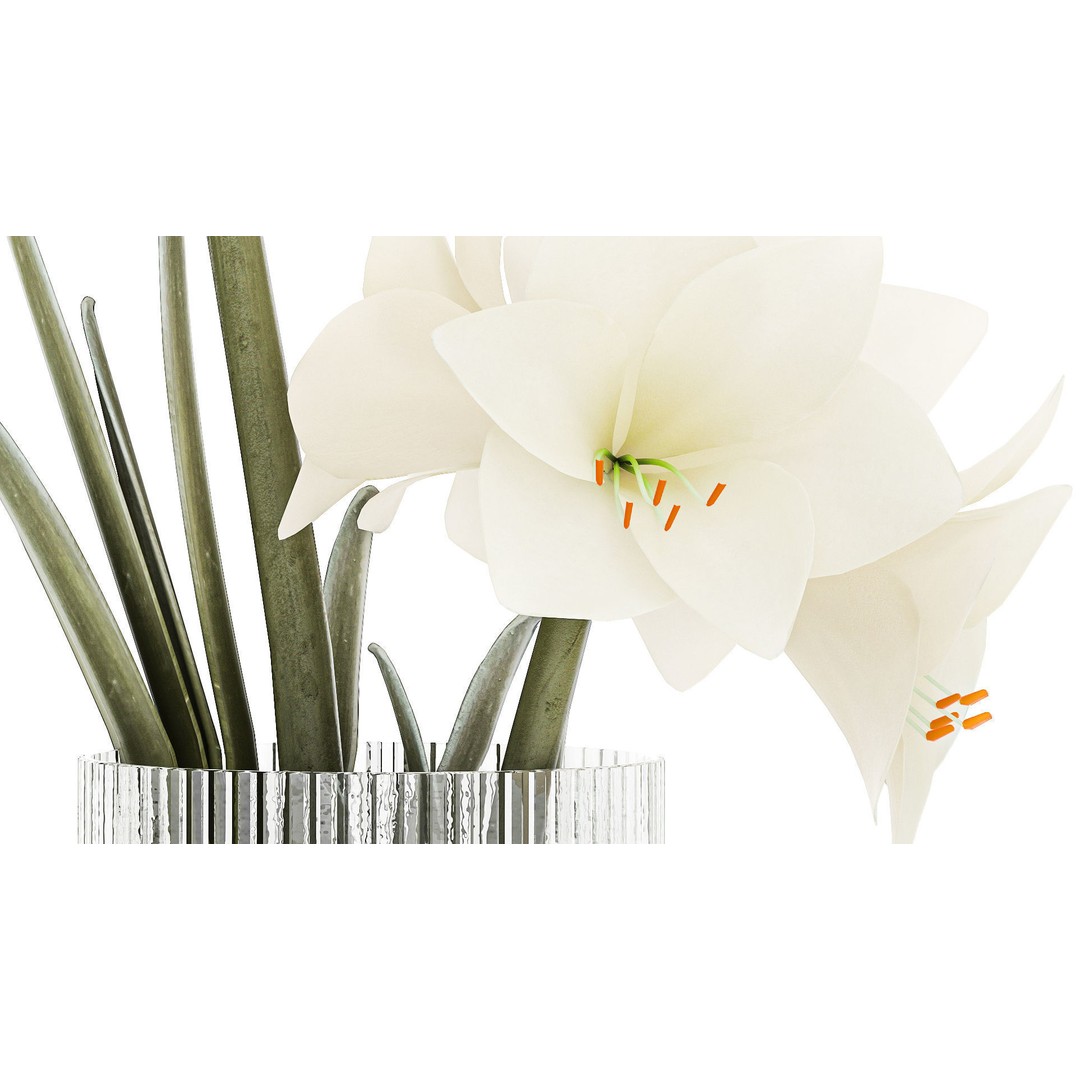 Hippeastrum Bouquet 3D Model – Modern White Floral Arrangement, FBX - View 6