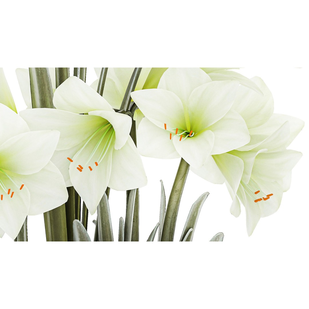 Hippeastrum Bouquet 3D Model – Modern White Floral Arrangement, FBX - View 7