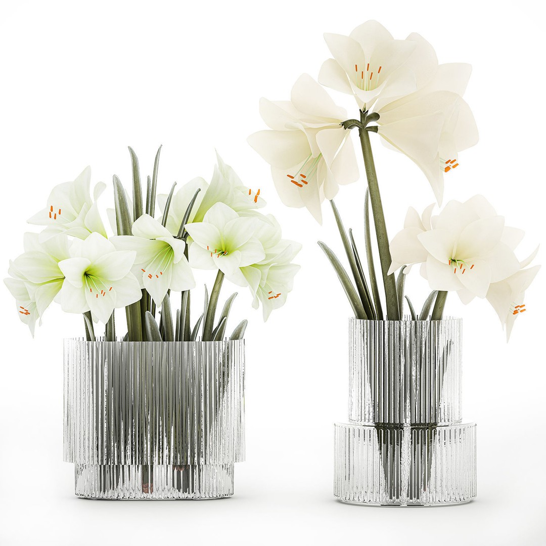 Hippeastrum Bouquet 3D Model – Modern White Floral Arrangement, FBX - View 8