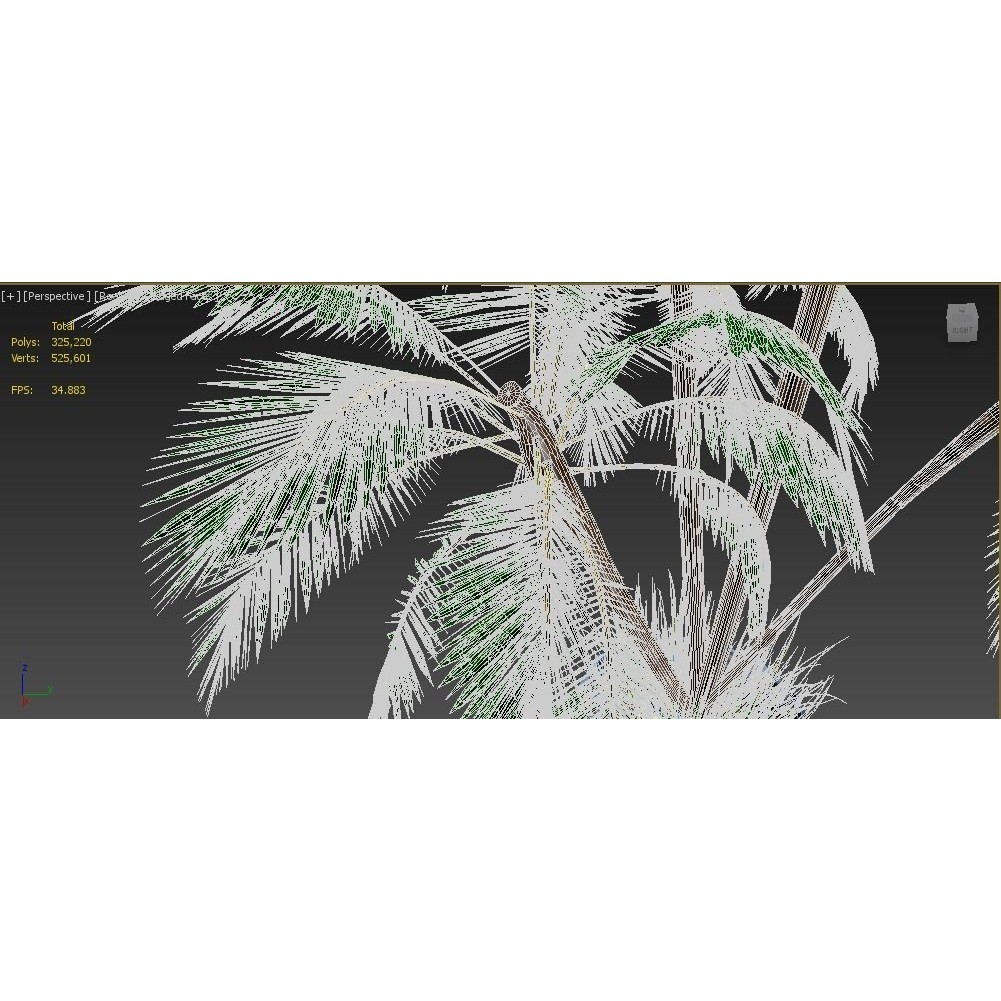 4 Palms 3D Model – Realistic Plant Asset with Textures, FBX, OBJ - View 13