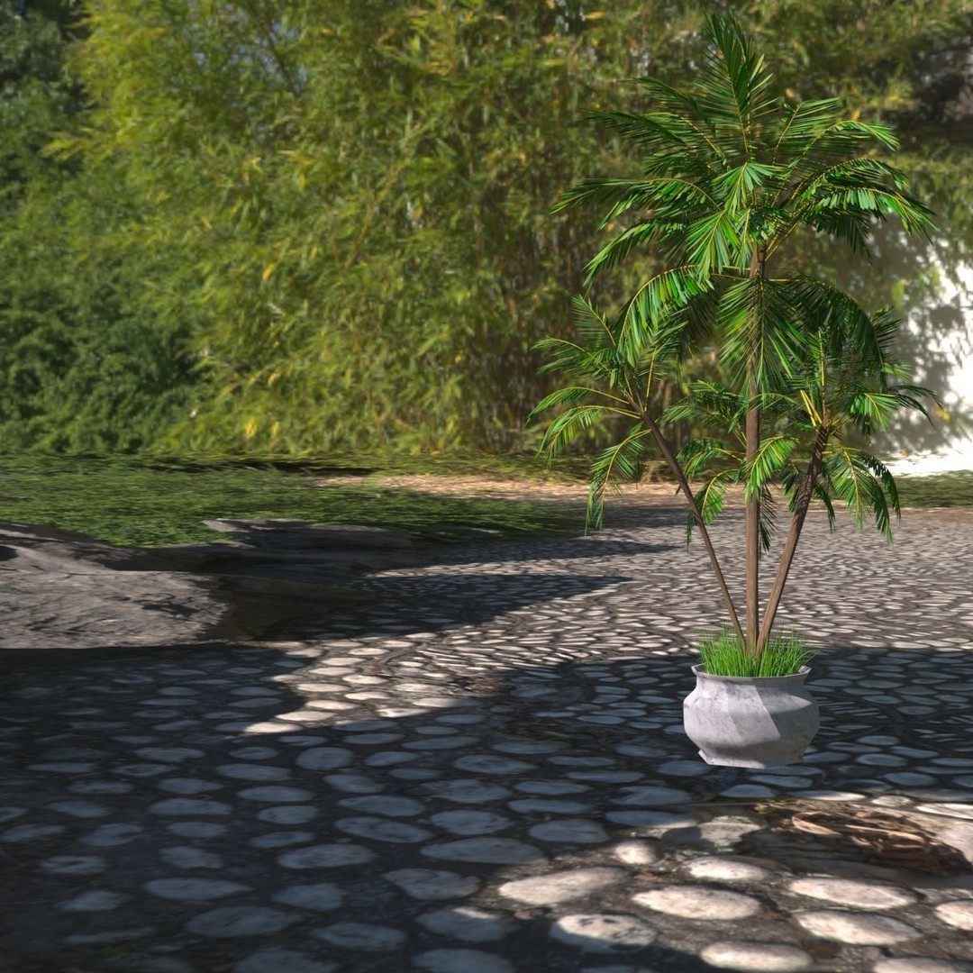 4 Palms 3D Model – Realistic Plant Asset with Textures, FBX, OBJ - View 5