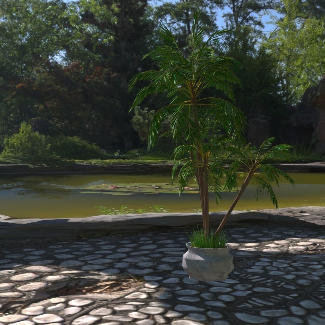 4 Palms 3D Model – Realistic Plant Asset with Textures, FBX, OBJ - View 6