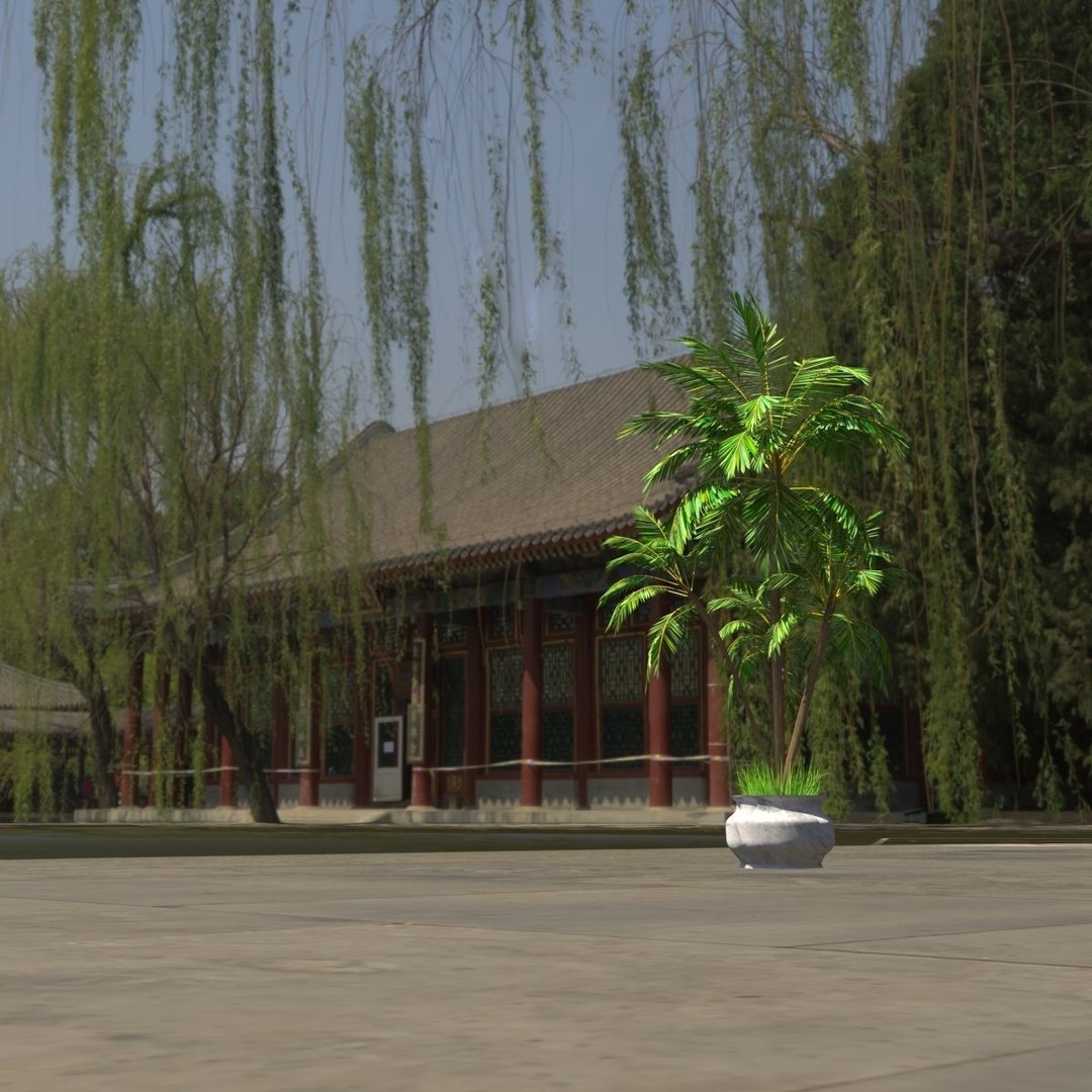 4 Palms 3D Model – Realistic Plant Asset with Textures, FBX, OBJ - View 7
