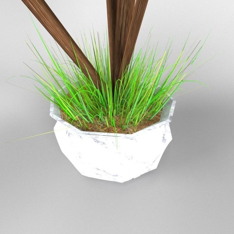 4 Palms 3D Model – Realistic Plant Asset with Textures, FBX, OBJ - View 8