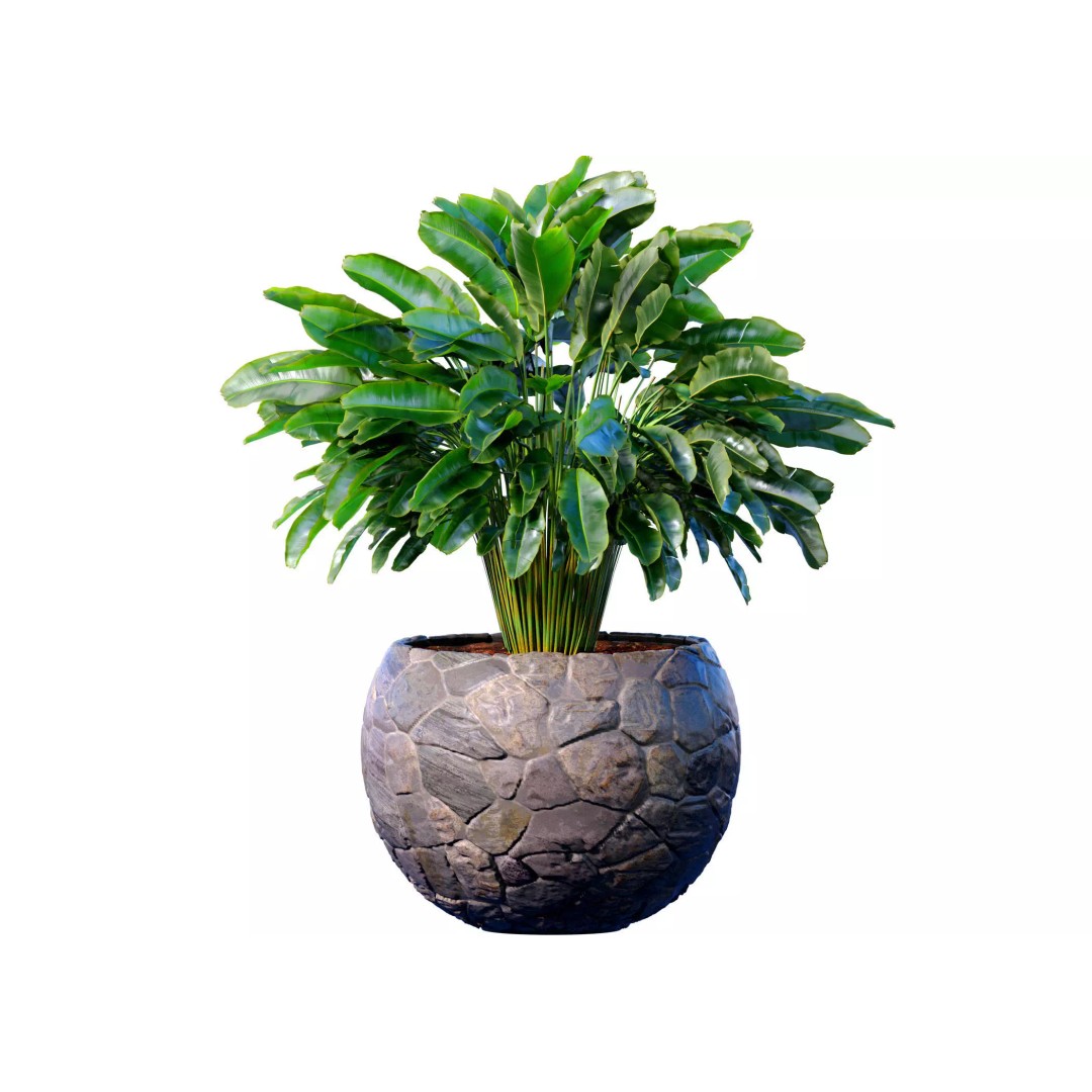 Decorative Fern 3D Model – Classic Style Pot Plant, FBX & OBJ - View 2