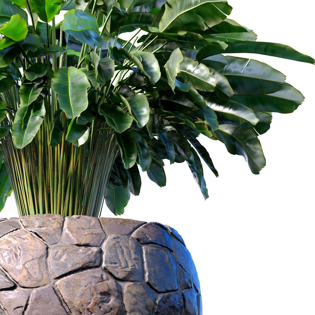 Decorative Fern 3D Model – Classic Style Pot Plant, FBX & OBJ - View 3