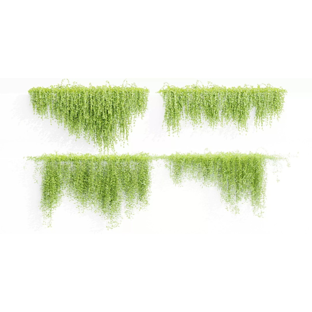 Creeper Plants 3D Model – PBR Hanging Ivy Collection, Blender & FBX - View 2