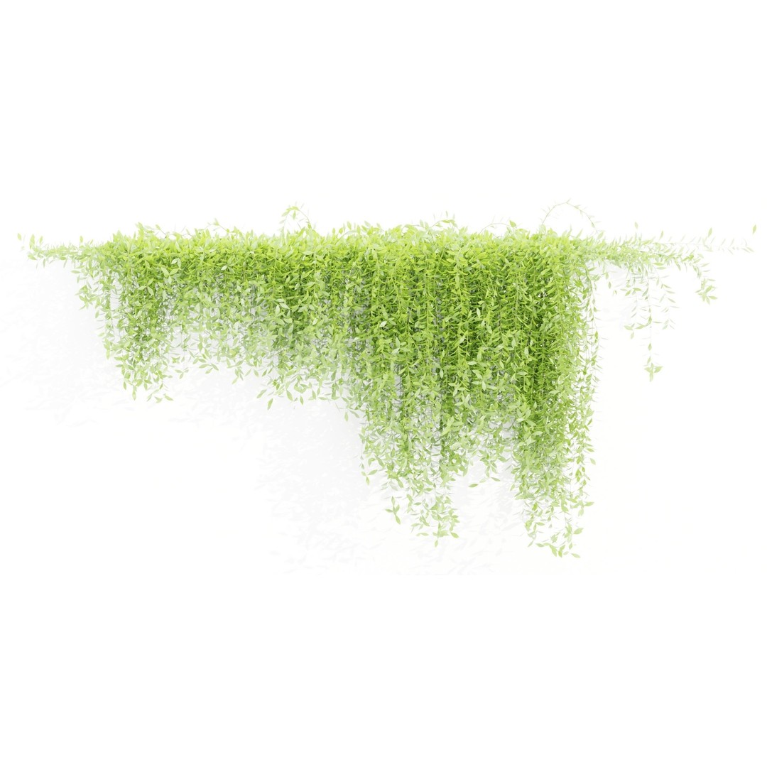 Creeper Plants 3D Model – PBR Hanging Ivy Collection, Blender & FBX - View 3
