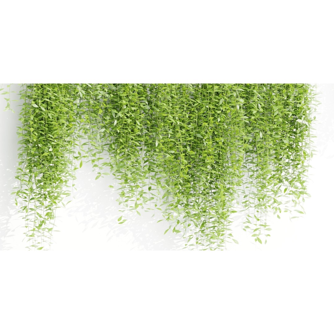 Creeper Plants 3D Model – PBR Hanging Ivy Collection, Blender & FBX - View 4