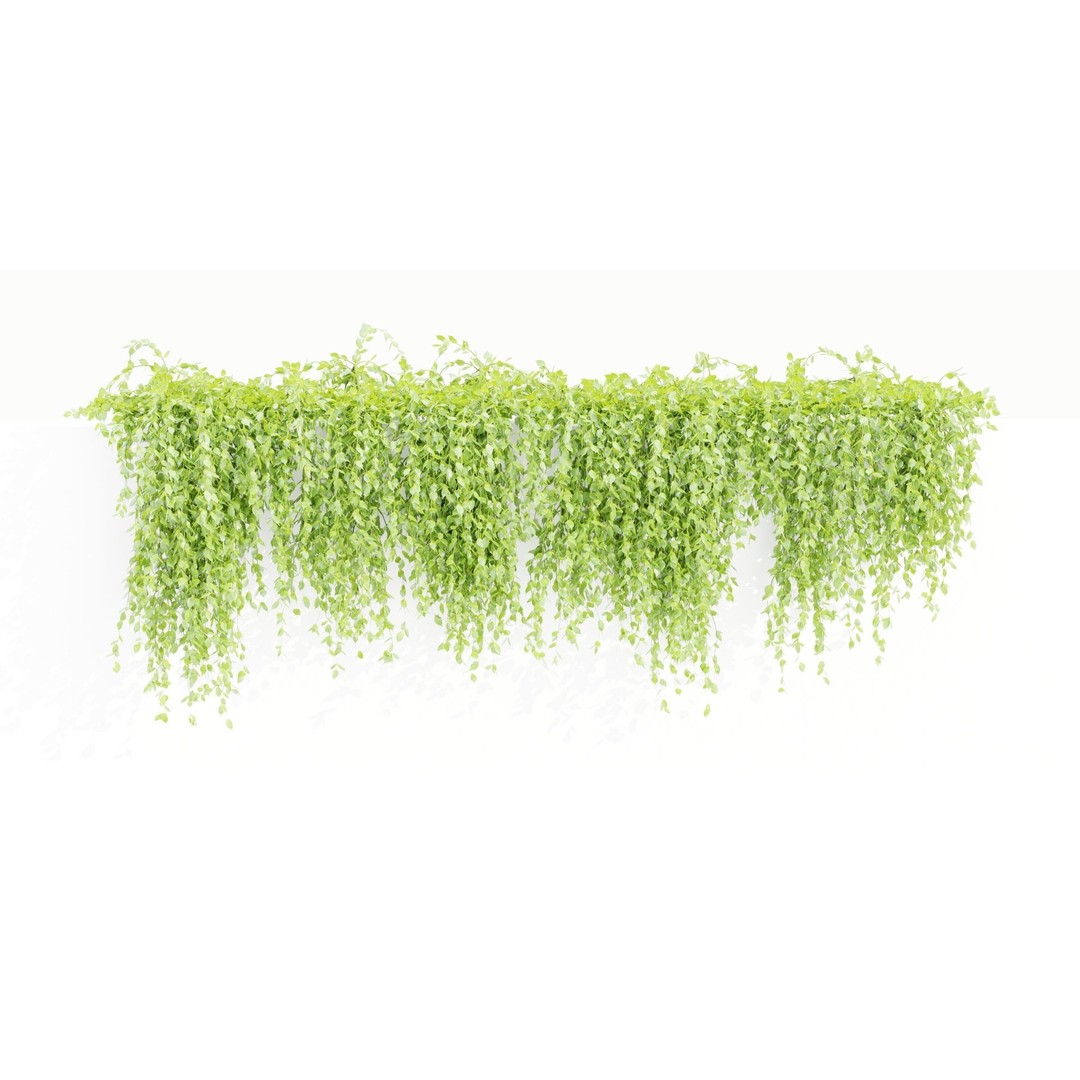 Creeper Plants 3D Model – PBR Hanging Ivy Collection, Blender & FBX - View 5