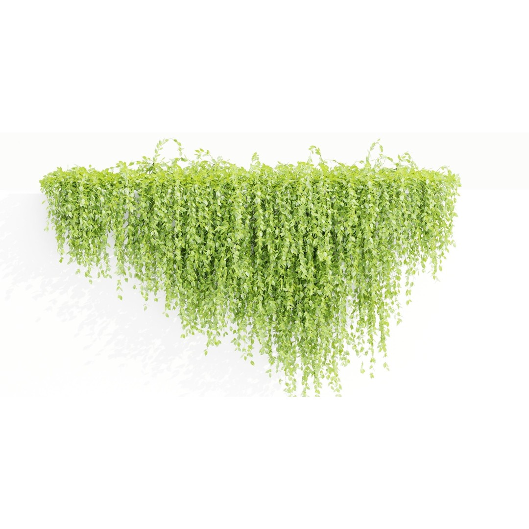 Creeper Plants 3D Model – PBR Hanging Ivy Collection, Blender & FBX - View 6