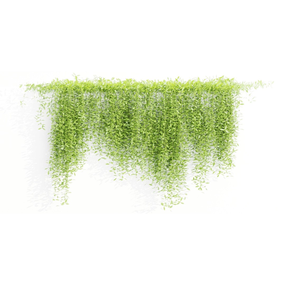 Creeper Plants 3D Model – PBR Hanging Ivy Collection, Blender & FBX - View 7