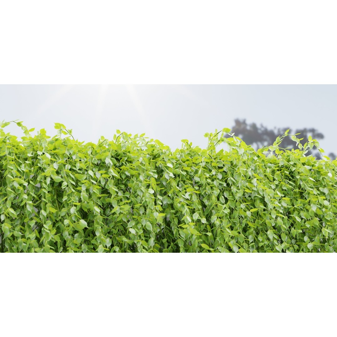 Creeper Plants 3D Model – PBR Hanging Ivy Collection, Blender & FBX - View 9