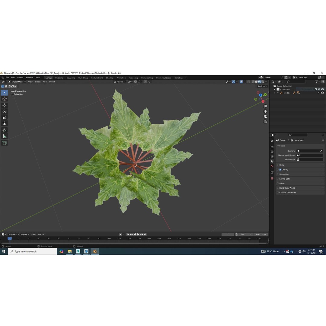 Rhubarb 3D Model – Low Poly Plant Asset for VR and AR - View 7