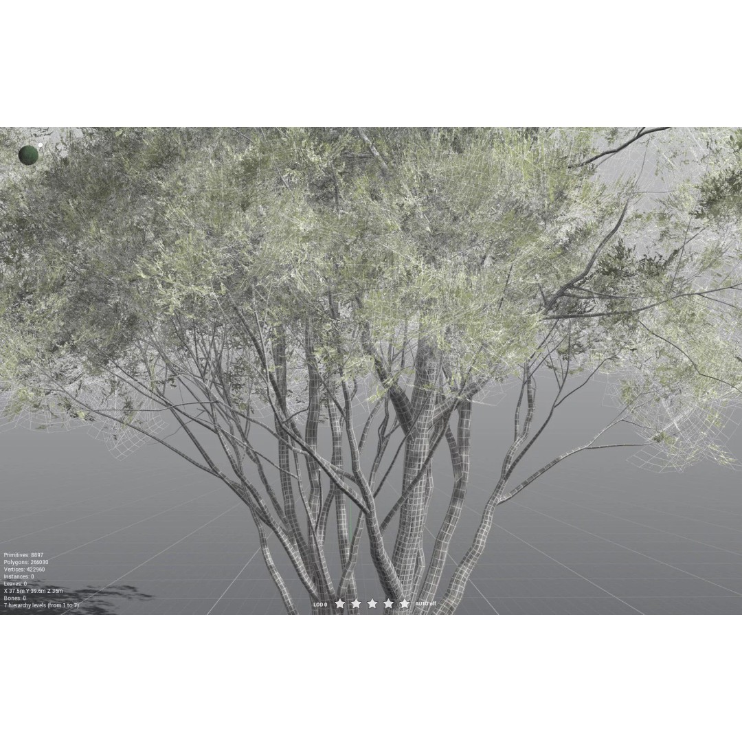 California Bay 3D Model – High Poly Tree Asset, FBX PBR Textures