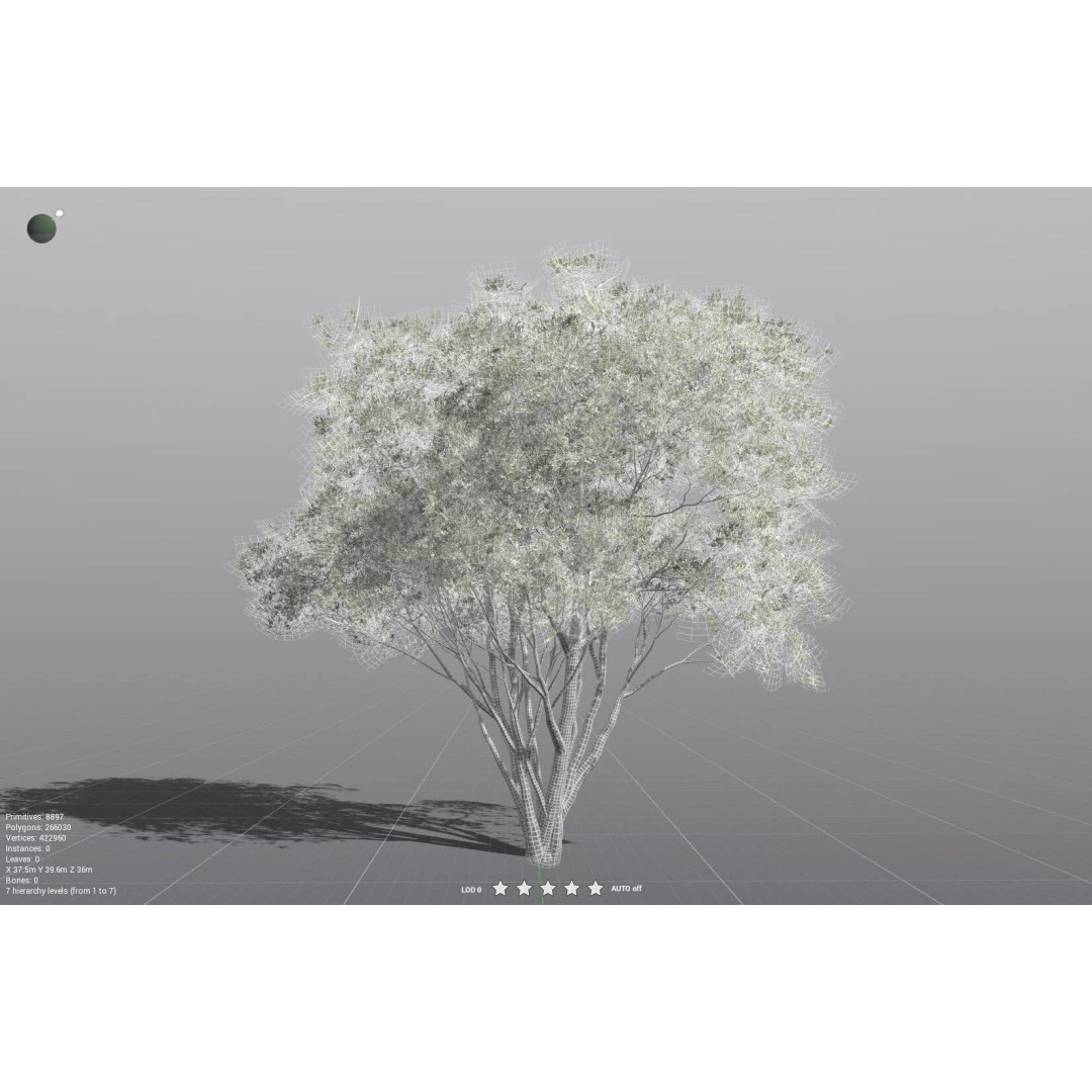 California Bay 3D Model – High Poly Tree Asset, FBX PBR Textures - View 34