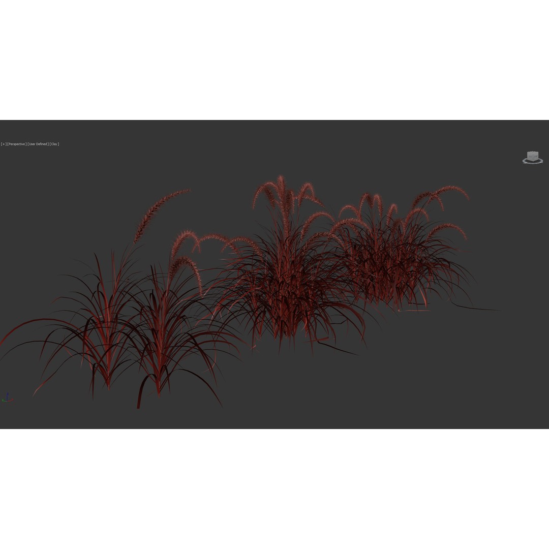Pennisetum Setaceum 3D Model – Fountain Grass, PBR Textures, FBX - View 11