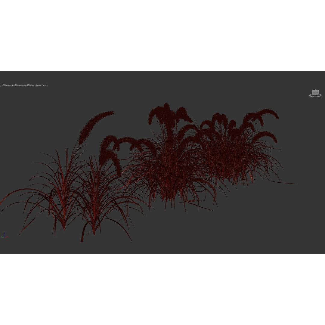 Pennisetum Setaceum 3D Model – Fountain Grass, PBR Textures, FBX - View 12