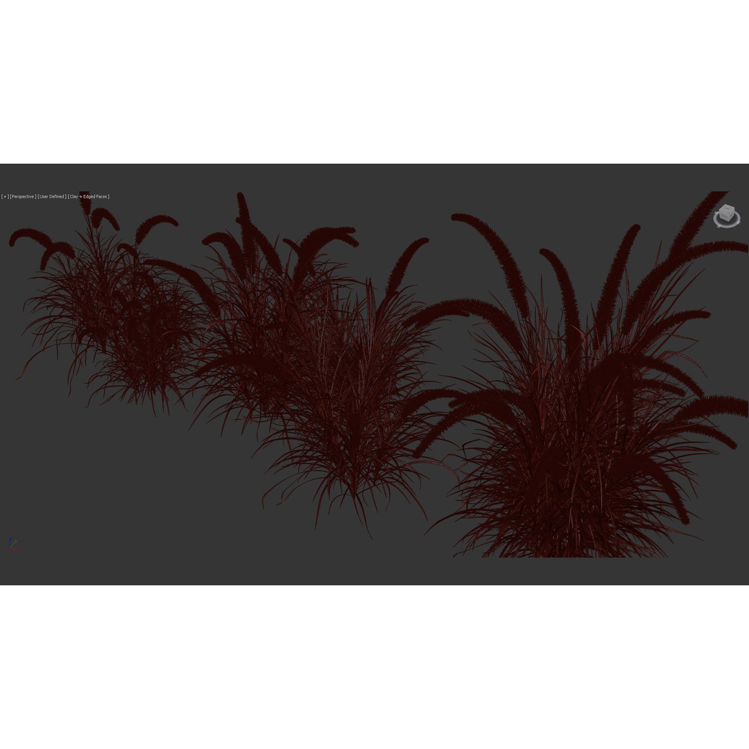 Pennisetum Setaceum 3D Model – Fountain Grass, PBR Textures, FBX - View 14
