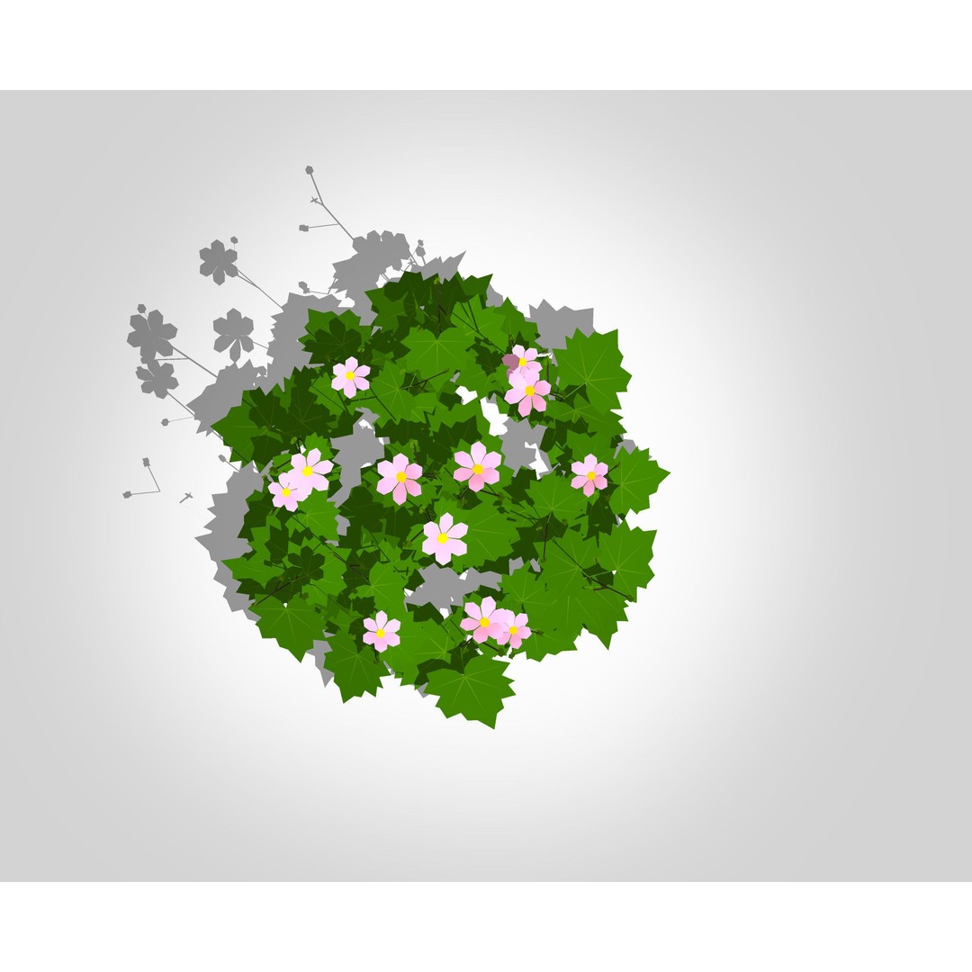 Anemone hybrida 3D Model – Low Poly Plant Asset for VR/AR - View 4