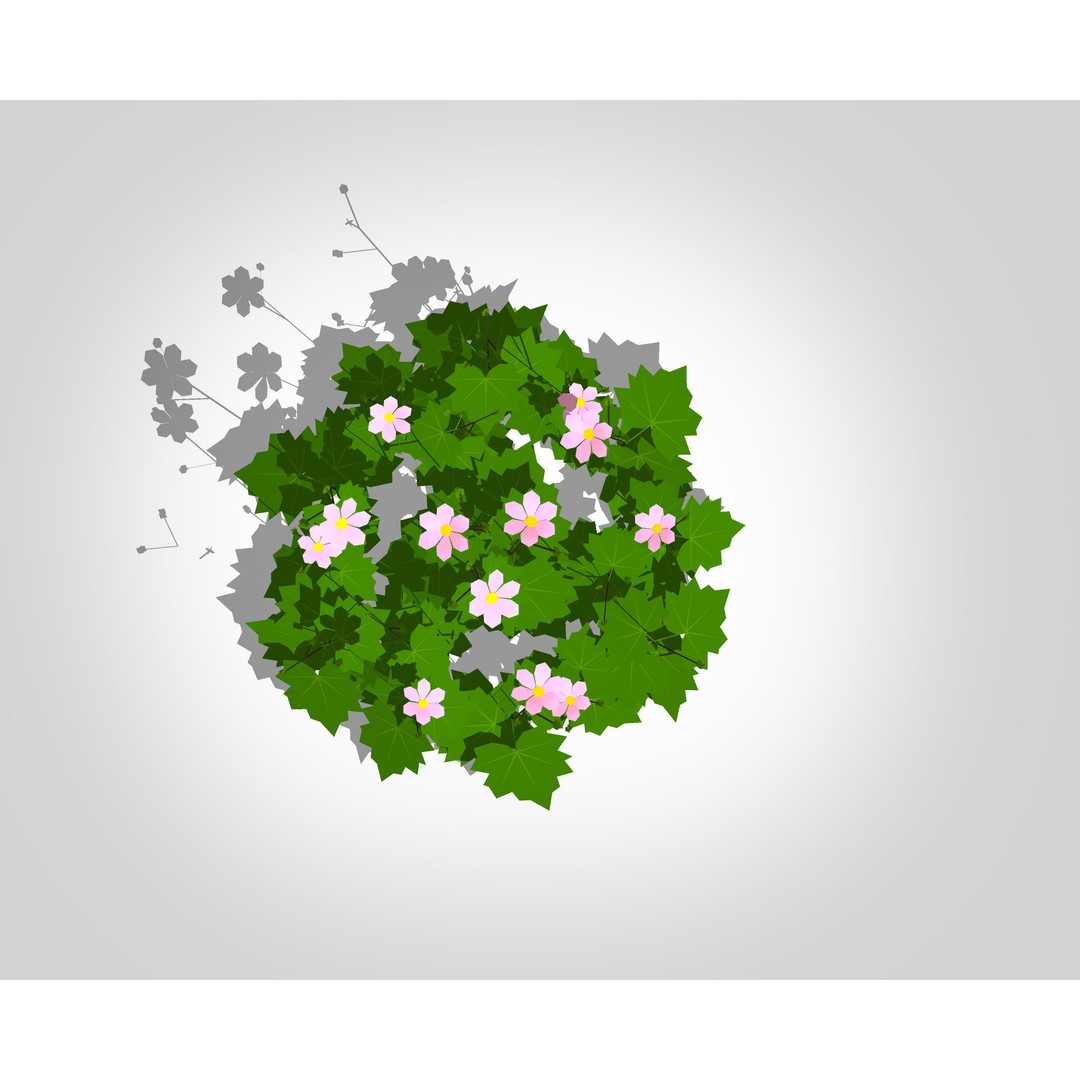 Anemone hybrida 3D Model – Low Poly Plant Asset for VR/AR - View 6