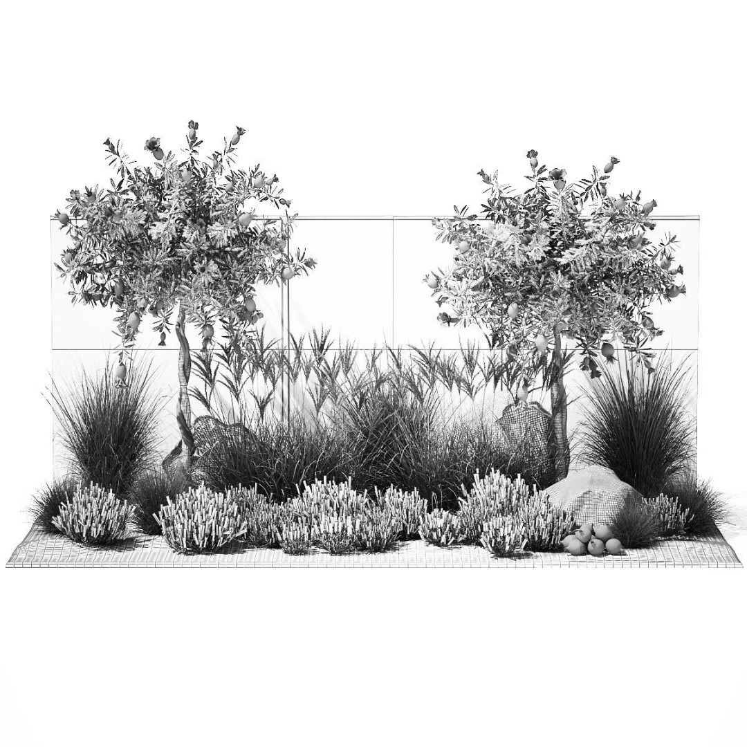 Garden with Lavender and Flowering Pomegranate Trees 3D Model – PBR Landscape Asset, FBX