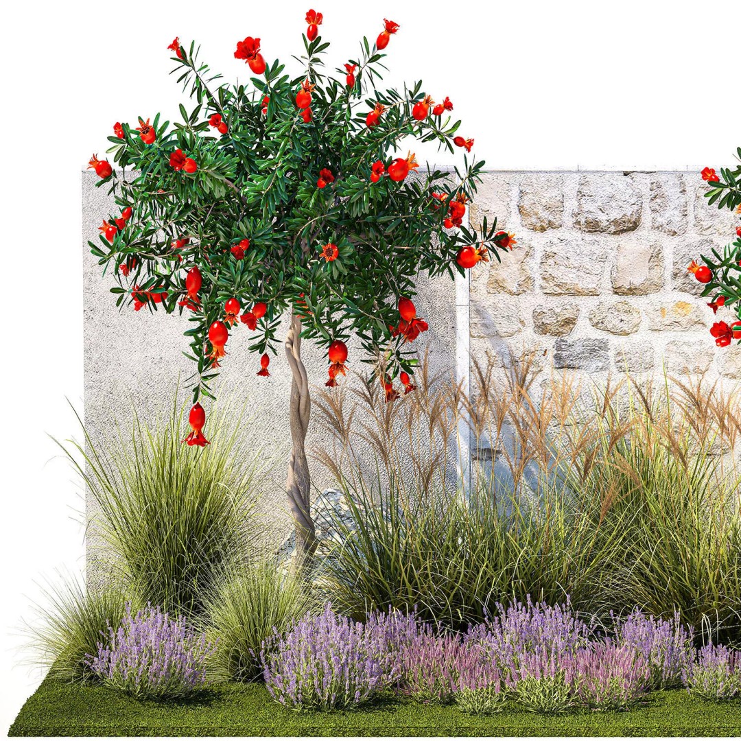 Garden with Lavender and Flowering Pomegranate Trees 3D Model – PBR Landscape Asset, FBX - View 10