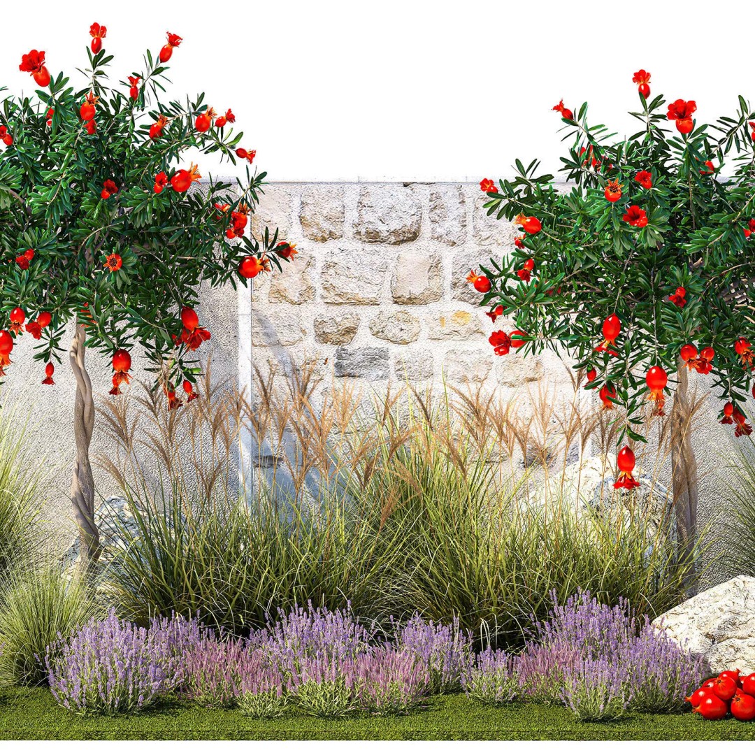 Garden with Lavender and Flowering Pomegranate Trees 3D Model – PBR Landscape Asset, FBX - View 11