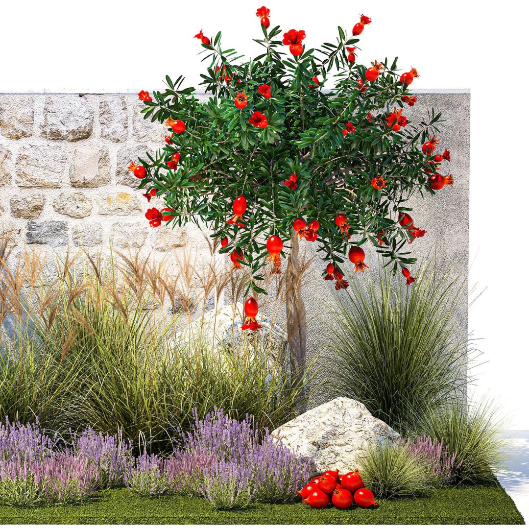 Garden with Lavender and Flowering Pomegranate Trees 3D Model – PBR Landscape Asset, FBX - View 12