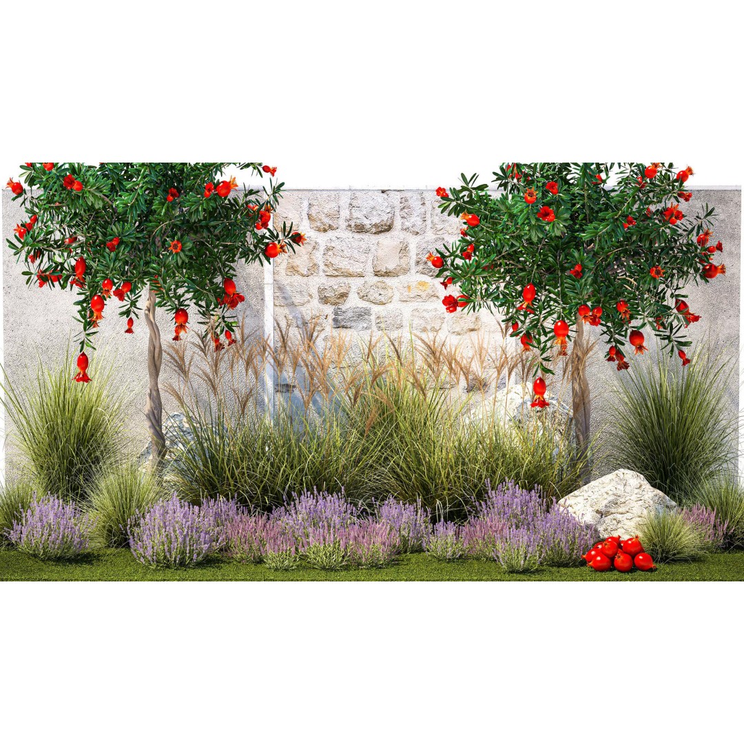 Garden with Lavender and Flowering Pomegranate Trees 3D Model – PBR Landscape Asset, FBX - View 3