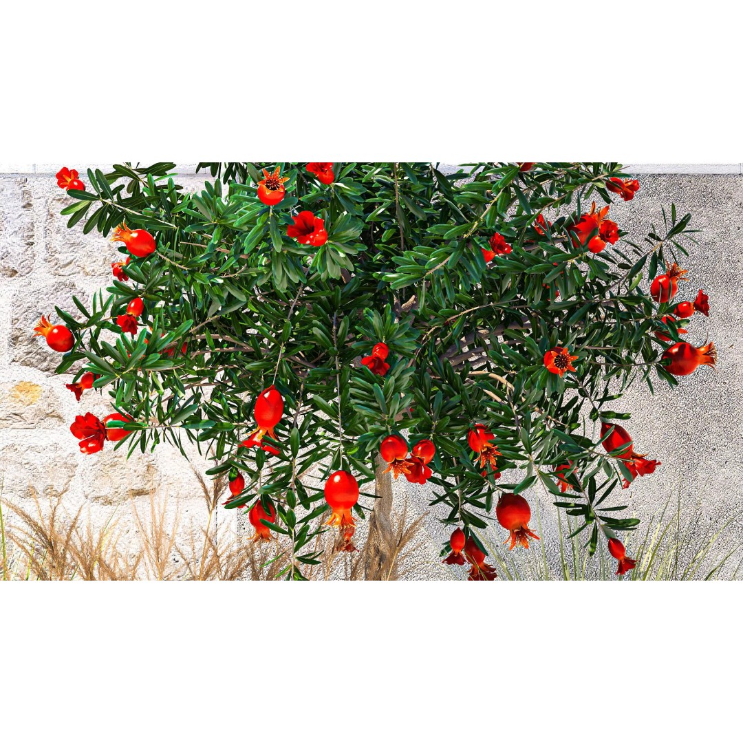 Garden with Lavender and Flowering Pomegranate Trees 3D Model – PBR Landscape Asset, FBX - View 5